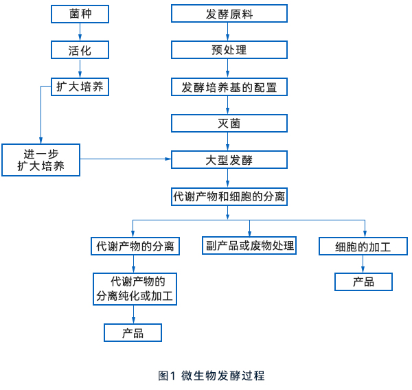 微生物發酵流程